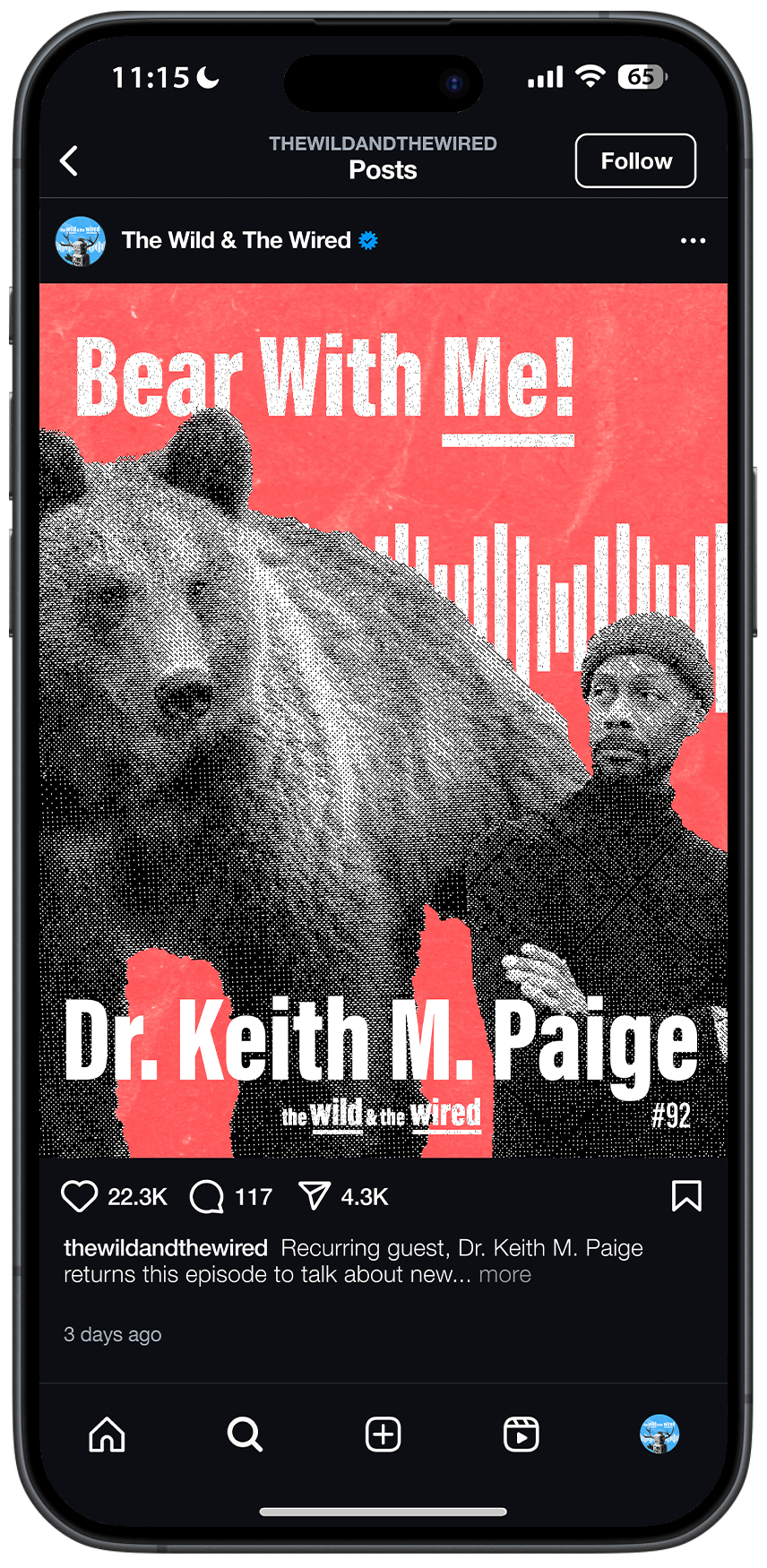 portfolio image the wild and the wired bear with me post portfolio image the wild and the wired bear with me post