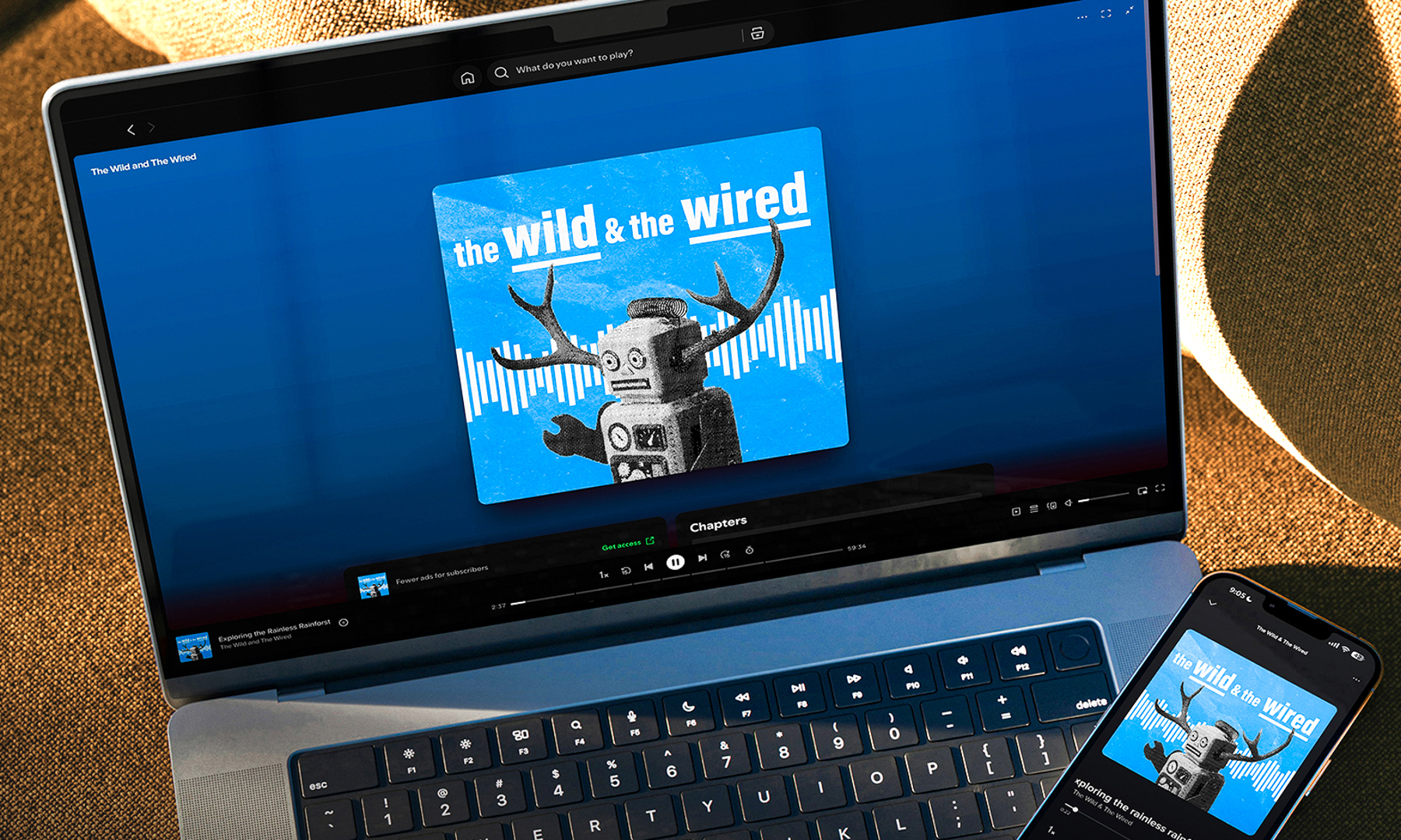 Visual Identity & Promotional Design